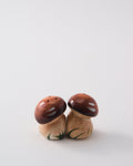 Italian Hand Painted Brown Mushroom Salt & Pepper Shaker Set